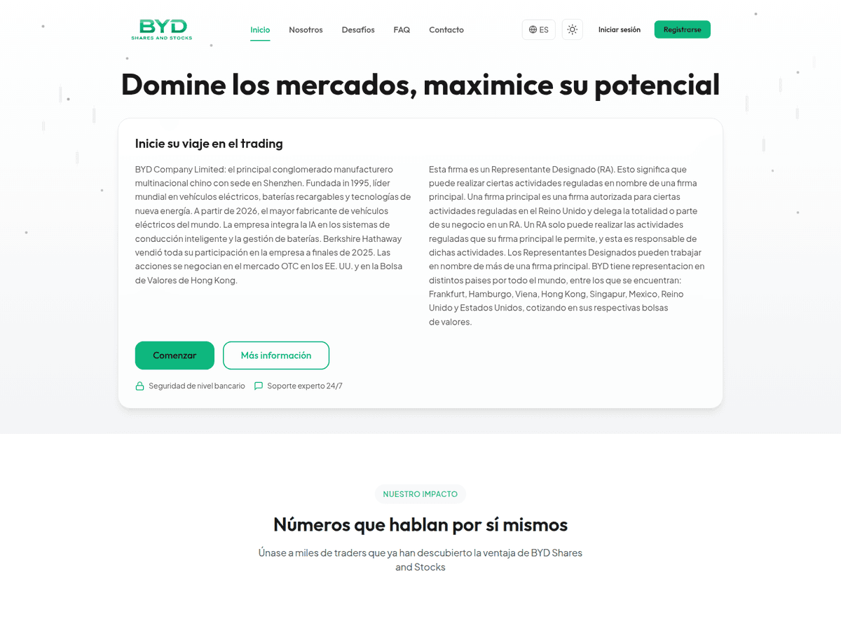 Screenshot der Webseite Bydsharesandstocks (bydsharesandstocks.com)