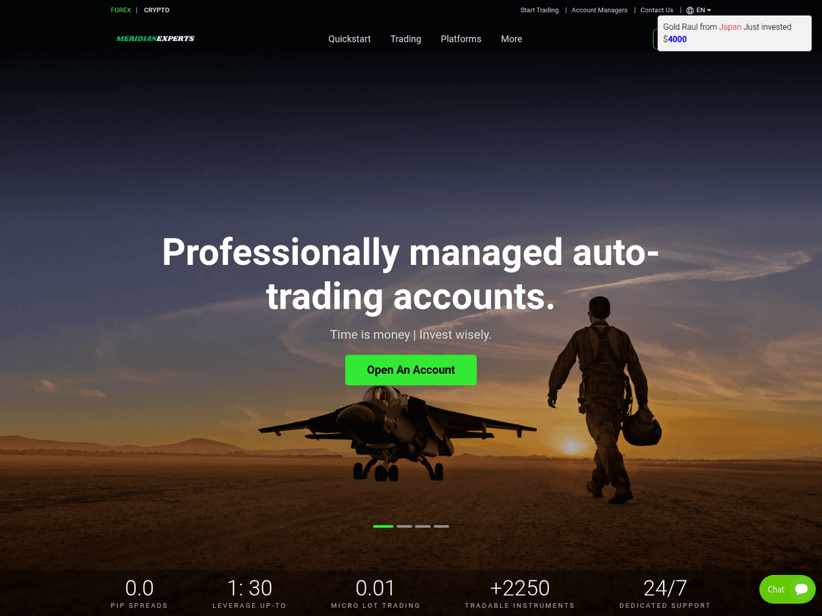 Screenshot der Webseite Meridian Experts (meridian-experts.com)