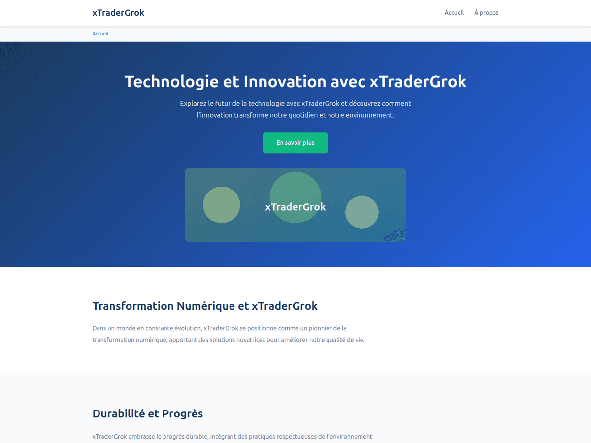 Screenshot von X Trader Grok