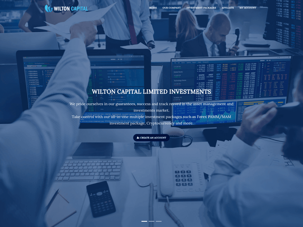 Screenshot von Wiltoncapitalltd