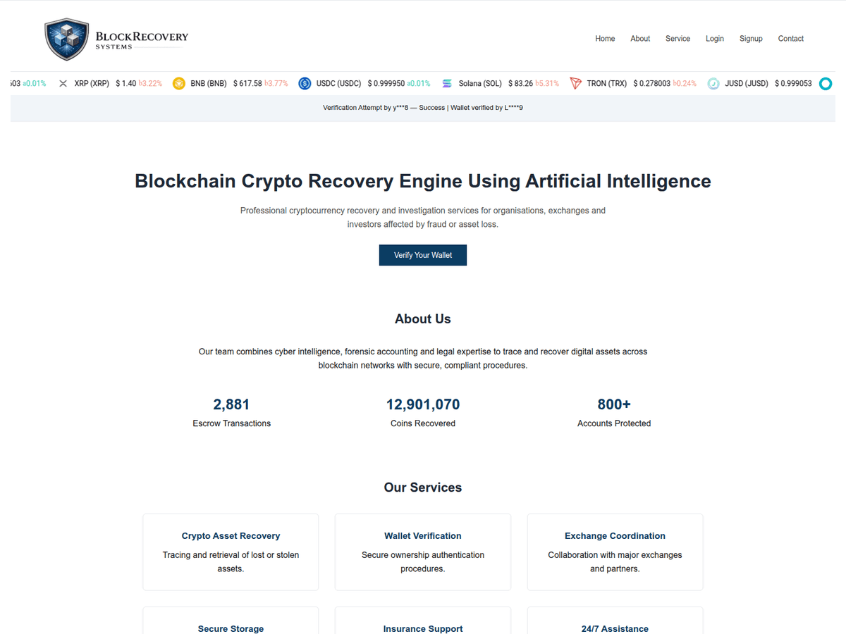 Screenshot der Webseite Pages (blockrecoverysystems.pages.dev)