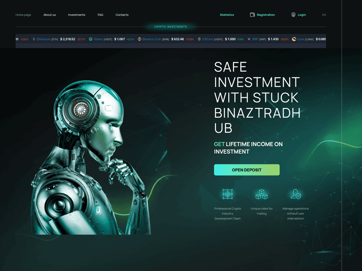 Screenshot der Webseite Stuckbinaztradhub (stuckbinaztradhub.xyz)