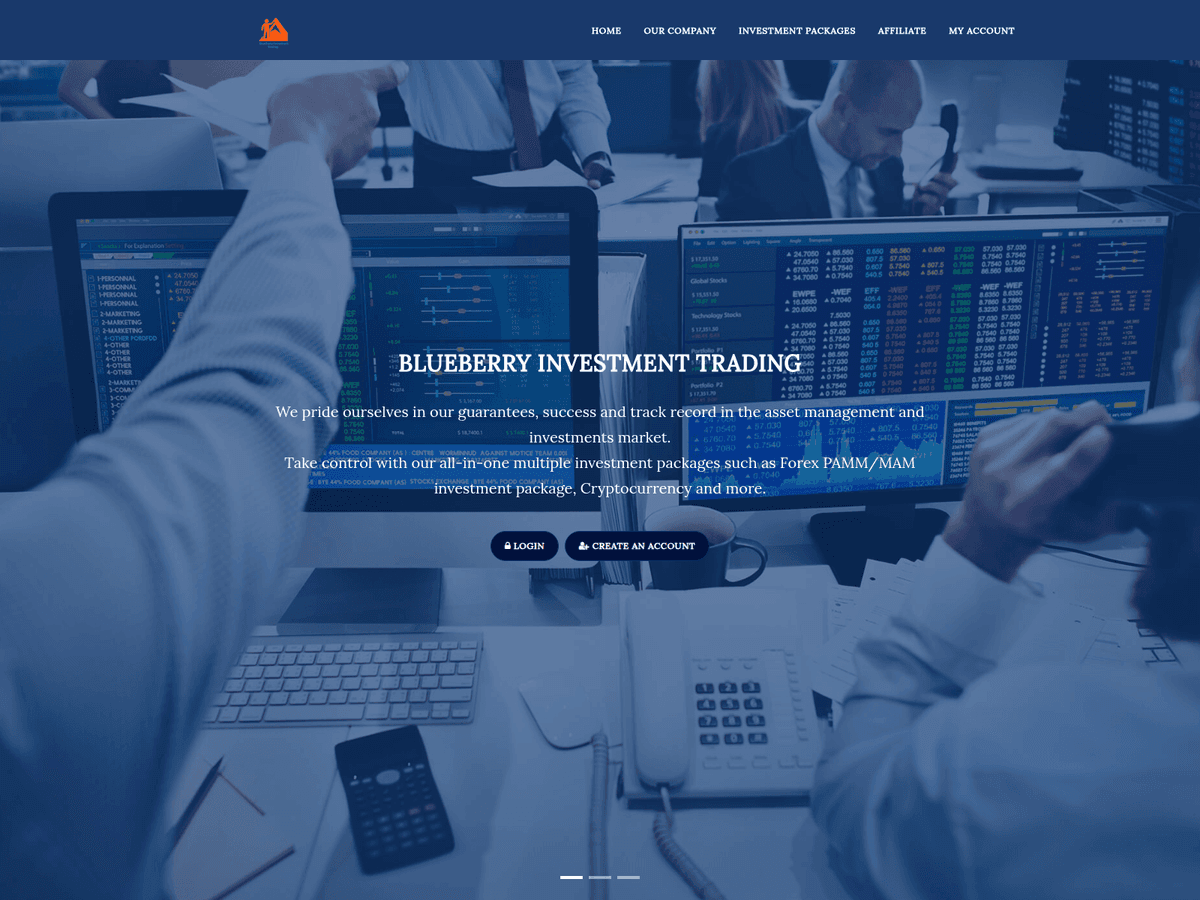 Screenshot von Blueberryinvtrading