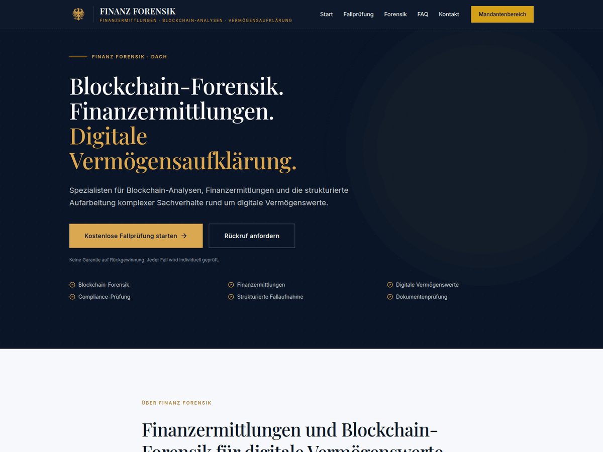 Screenshot von Finanzforensik