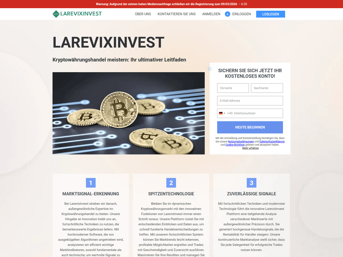 Screenshot von Larevixinvest De